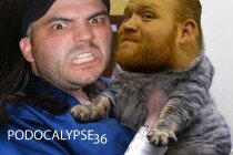 36