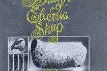 do-androids-dream-of-electric-sheep