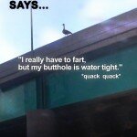 suicide_goose_poster1