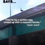 suicide_goose_poster3