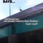 suicide_goose_poster4