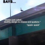 suicide_goose_poster6