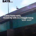 suicide_goose_poster8