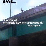 suicide_goose_poster9