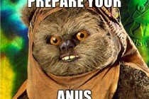Rape-Ewok-PREPARE-YOUR-ANUS